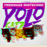 Tristendo - Tweenage Nintechno #YOLO Cat Screenshot