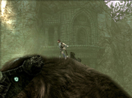 Shadow of the Colossus - Head louse