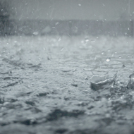 Stream Of Rain Screenshot