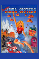giana sisters c64 coverart