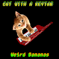 Weird Bananas - Cat With A Keytar